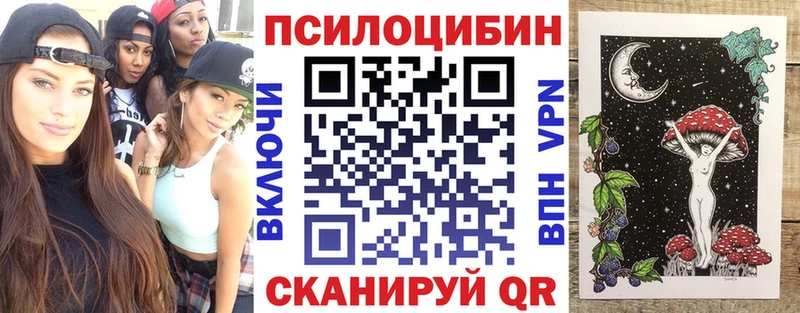 Псилоцибиновые грибы Cubensis Новотроицк