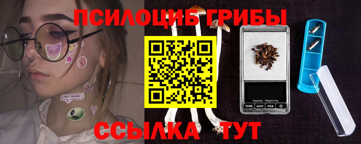 Псилоцибиновые грибы Psilocybine cubensis  Вход с VPN  Новотроицк 